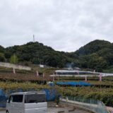 カタシモワイン祭り準備真っ最中