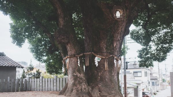 3/8（日）3/22（日）ランチ付きワイナリー見学会開催のお知らせ